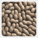 Recherche de écrou autocollants Arachide