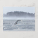 Recherche de hiboux cartes postales Hiver