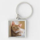 Search for couch keychains Animal