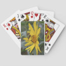 Search for bee playing cards Wildlife
