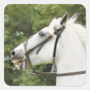 Search for equine horse labels Riding