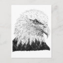 Recherche de aigle blanc cartes postales Noir et blanc