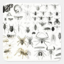 Search for entomology stickers Fly