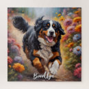 Search for bernese mountain dog puzzles Beautiful