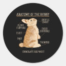 Search for animal rabbit stickers Cute