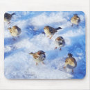 Search for cold winter electronics Wildlife