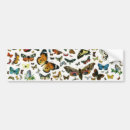 Search for butterfly bumper stickers Moth
