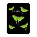 Recherche de luna magnets Insecte