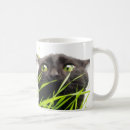 Recherche de chat vert tasses Chats noirs