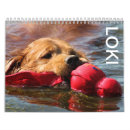 Search for loki office supplies Cute