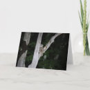 Search for owl blank cards Birds