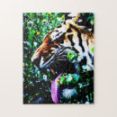 Recherche de tigre blanc puzzles Jigsaw
