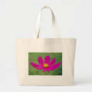 Search for multi region bags Nature