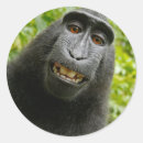 Search for monkey stickers Happy