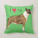 Search for mini pillows Heart