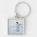 Search for animal body part keychains Animals