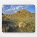 Search for badland electronics Scenic
