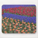 Recherche de vigne fleur tapis souris Jardin