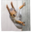 Search for squirrel shower curtains Rodent