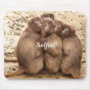 Search for small monkey mousepads Animal