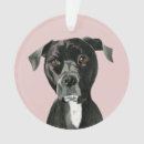 Search for illustration ornaments Dog
