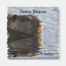 Search for beavers magnets Wildlife