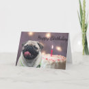 Search for funny pug birthday cards Cute