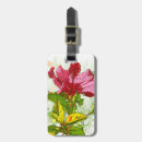 Search for blot accessories Beautiful