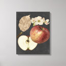 Search for apples canvas prints Harvest