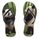 Search for panda shoes Bamboo