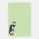 Recherche de calico cat posters Chats de calico