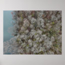 Search for drone decor River