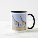 Search for concentration mugs Nature