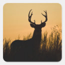 Search for white tail deer stickers Antlers