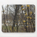 Search for spring tree mousepads Nature