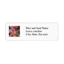 Search for monarch butterfly return address labels Flowers