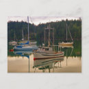 Search for fishs postcards British
