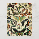 Recherche de adolphe cartes postales Illustration