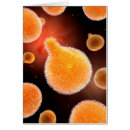 Search for protozoa Microbe