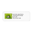 Search for mallard ducks return address labels Wildlife