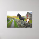 Search for built canvas prints Europe