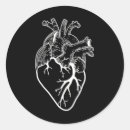 Search for anatomically stickers Nurse