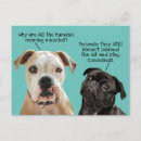 Search for muzzle Funny