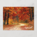 Search for tree fall postcards Orange