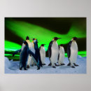 Search for penguin image posters Animal
