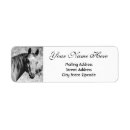 Search for black horse return address labels Animal