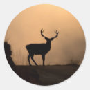 Search for red stag stickers Deer