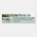 Search for photographer bumper stickers Frequent stops
