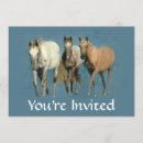 Recherche de poulain invitations Équestre