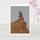 Search for commoners cards Wildlife